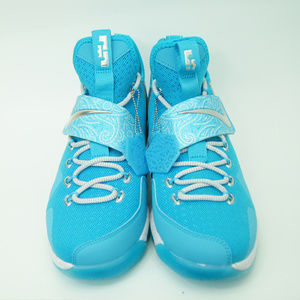 Nike LeBron 14 HWC GS Rick Flare Nature Girls